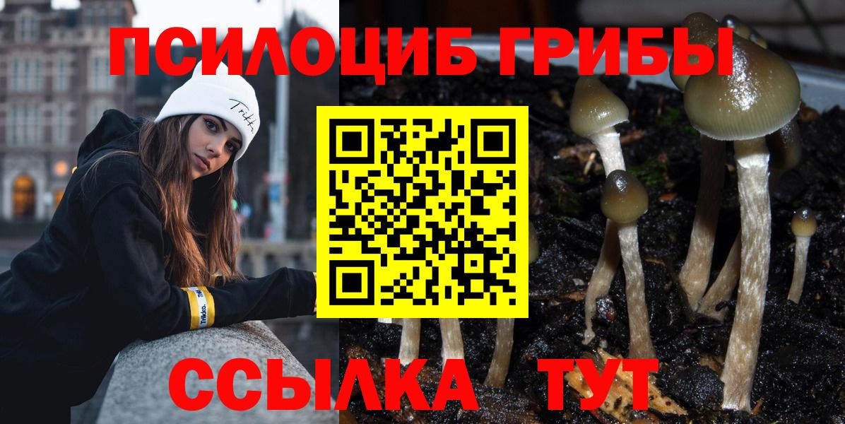 Пыть-Ях  Псилоцибиновые грибы прущие грибы  Вход с VPN  Галлюциногенные грибы Psilocybine cubensis 