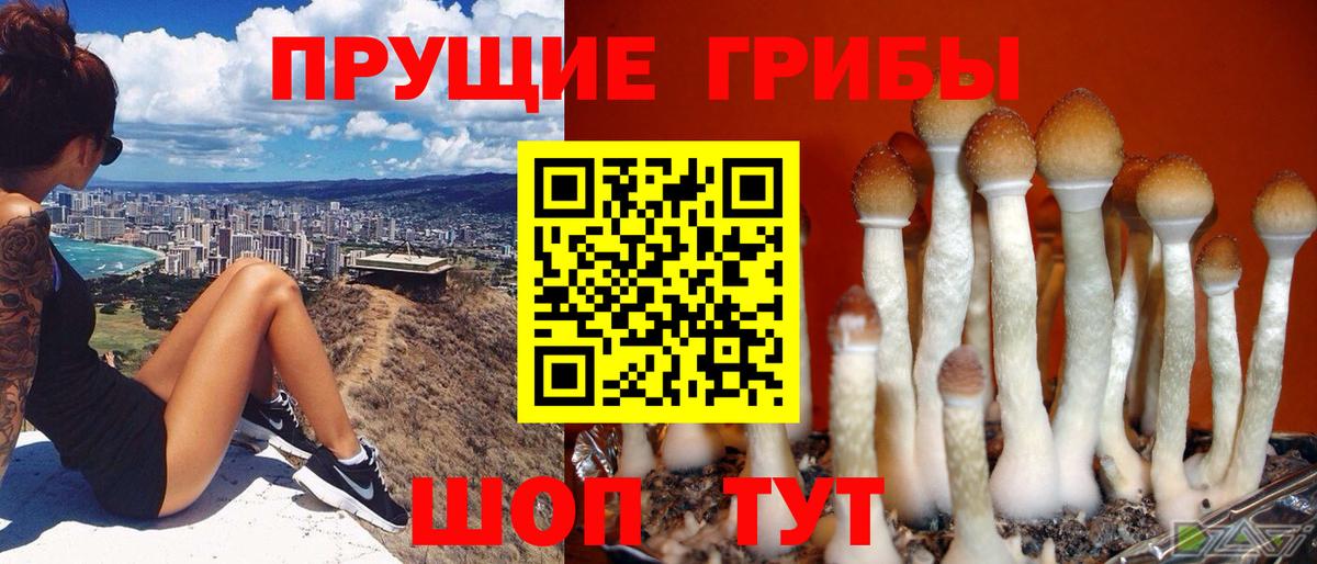 Псилоцибиновые грибы ЛСД Пыть-Ях